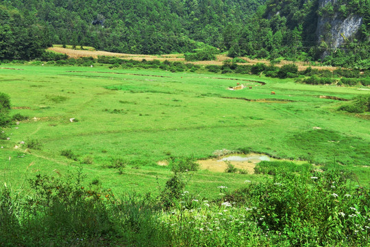 草原风景