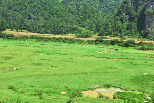 美丽田野风景