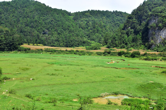 美丽田野风景