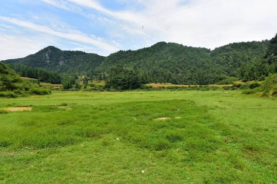 美丽田野风景