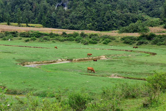 美丽田野风景