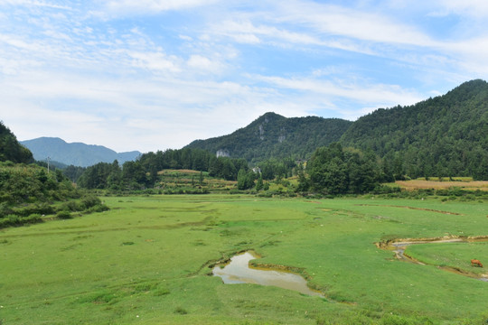 草原美景