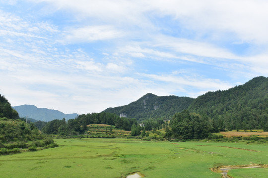 草原美景