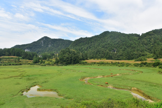 草原风景