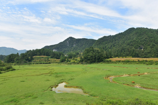 草原风景