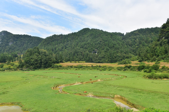 草原风光