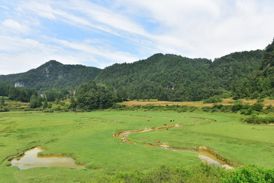 草原风光