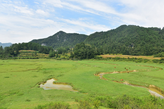 草原美丽风光