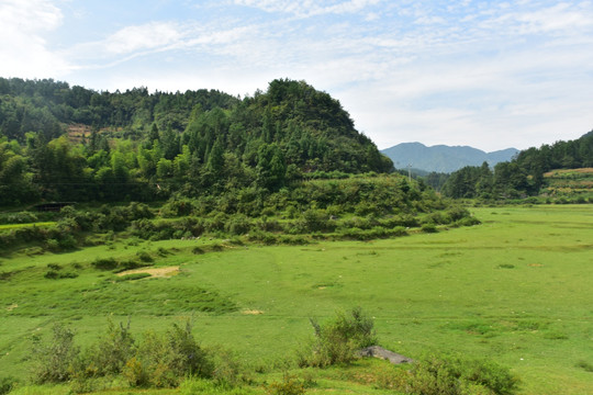 草原美丽风光