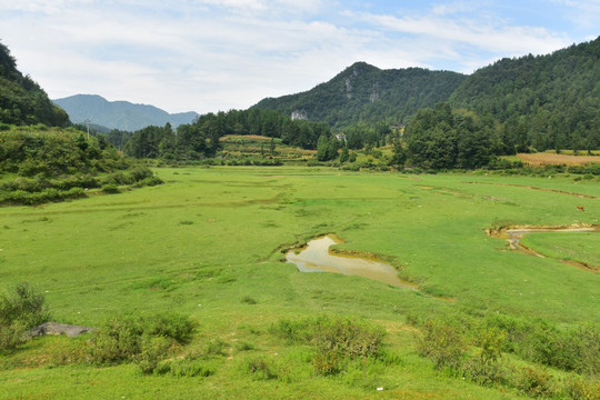 草原美丽风光