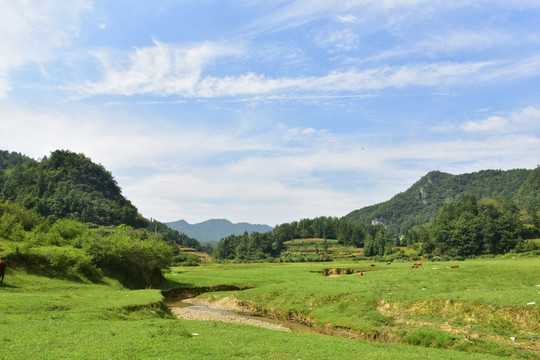 黄牛草原