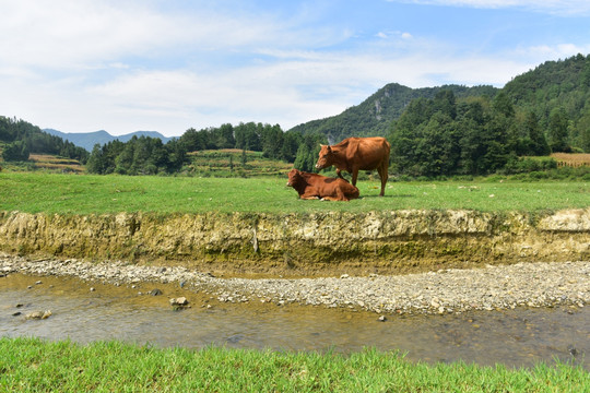 草原风景