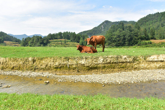 草原风景