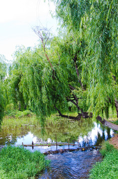 小溪流水