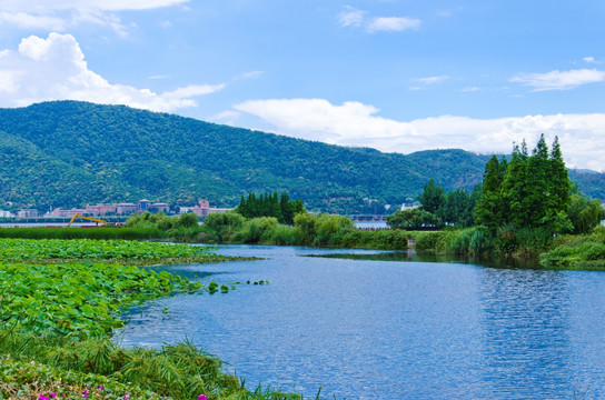 滇池草海