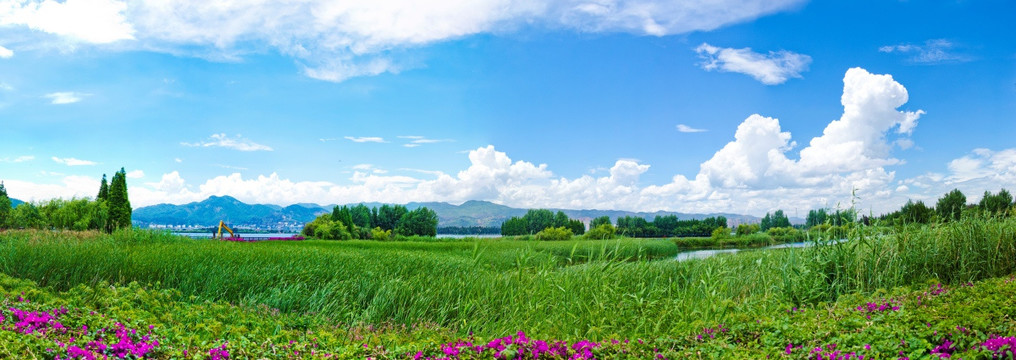 滇池草海全景图