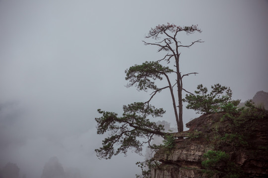 张家界天子山