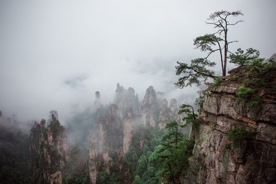 张家界天子山