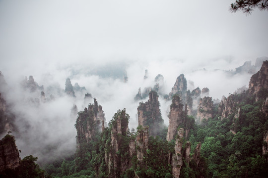 张家界天子山