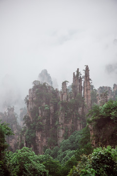 张家界天子山