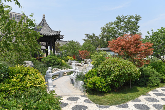 中式庭院绿化