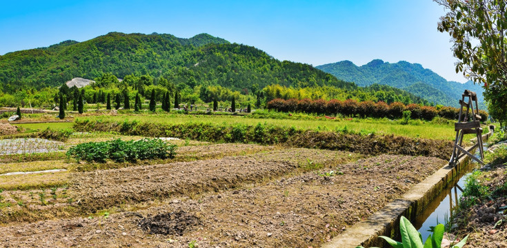 乡村田野