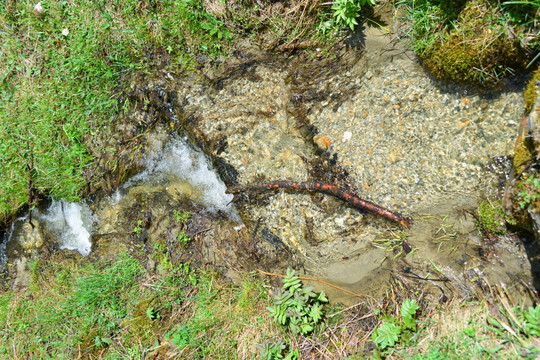 山间小溪 清澈溪流