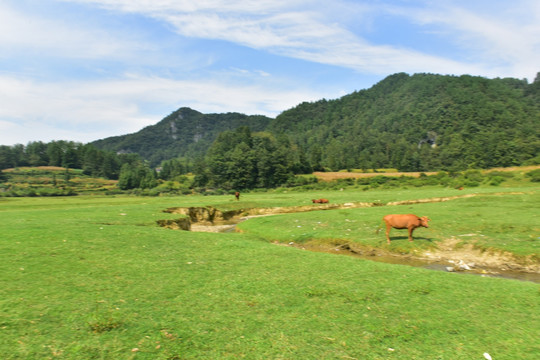 田园美丽景色