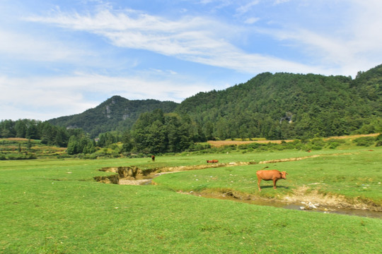 田园美丽景色