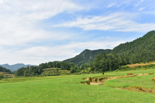 田园美丽景色