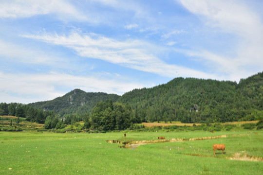 田园美丽景色