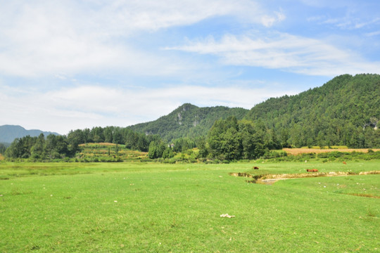 美丽田园