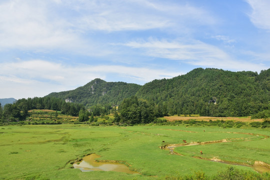 美丽田园