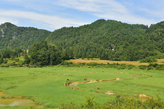 美丽田园