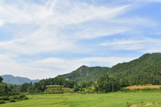 美丽田园