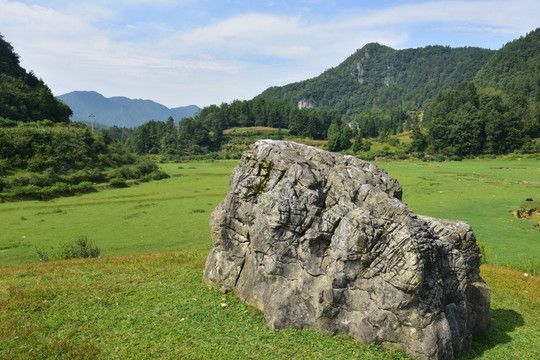 田园美丽风景