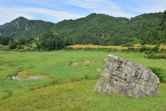 田园美丽风景