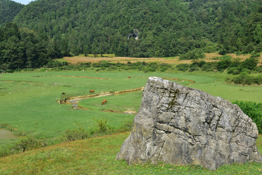 田园美丽风景