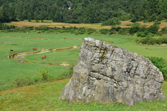 田园美丽风景