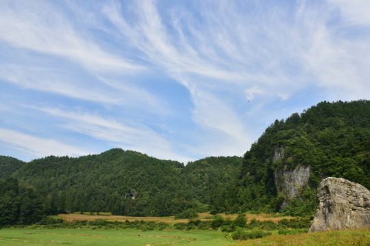 田园美丽风景