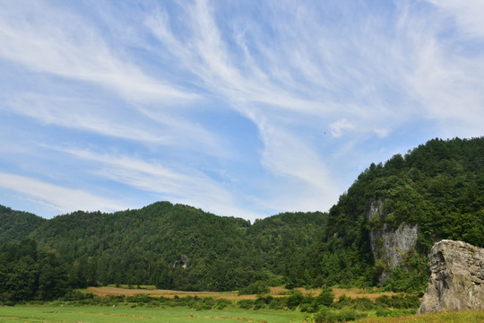 田园美丽风景