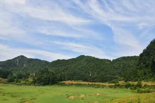 田园美丽风景