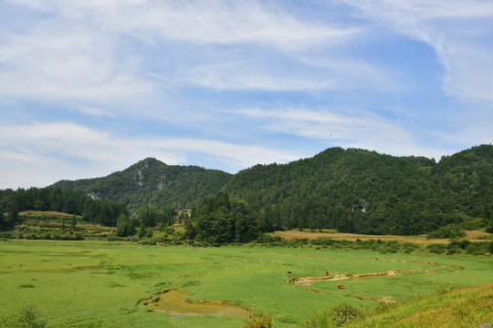 田园美丽风景