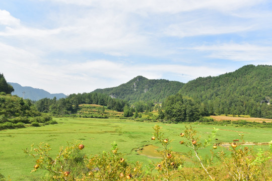 田园风景