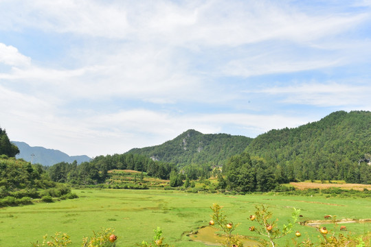 田园风景