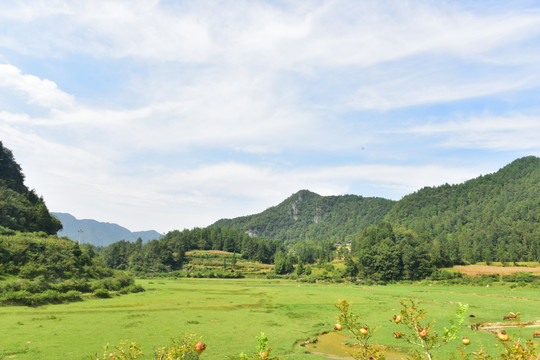 田园风景