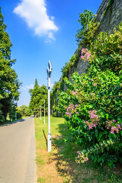 环玄武湖道路和明城墙