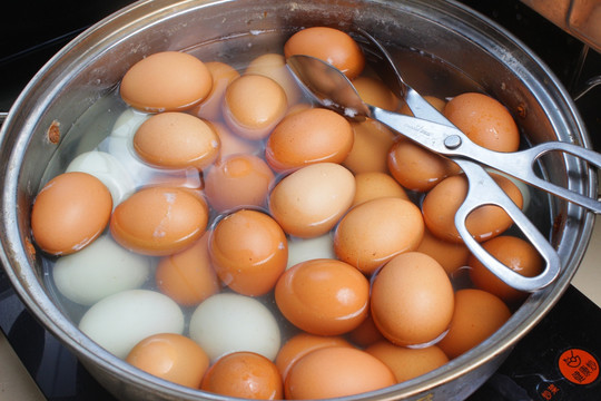 水煮鸡蛋 鸡蛋