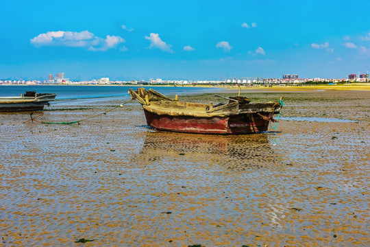 大海 海滩 海岸线