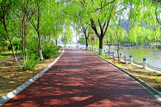 林荫路 公园道路